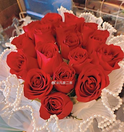 17朵玫瑰（用17朵玫瑰诠释爱情的种种情感，探寻其深刻的意义）