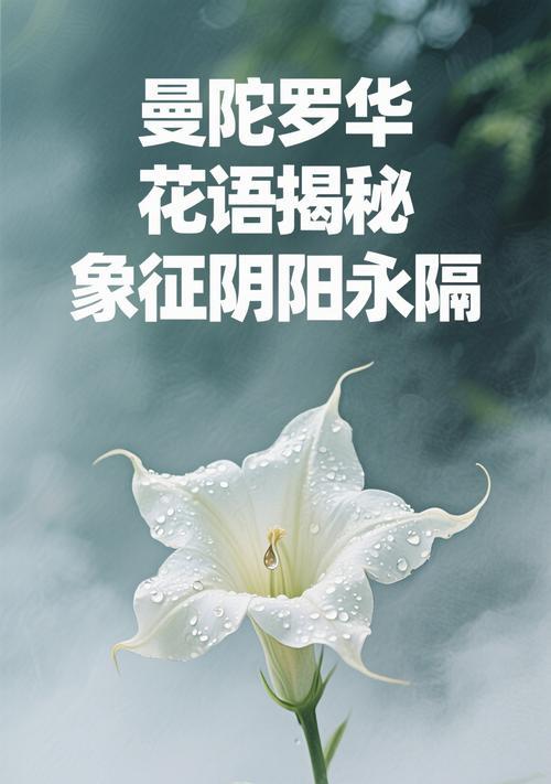 曼陀罗华的花语与传说（探寻曼陀罗华的深意——花语与传说解读）