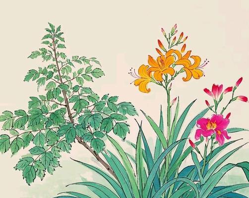 以棠棣代表兄弟情义（深情厚谊，伴我成长）