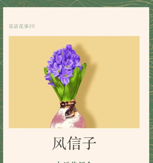 洋水仙花（以洋水仙的花语和文化寓意为主题探索这朵花的魅力）