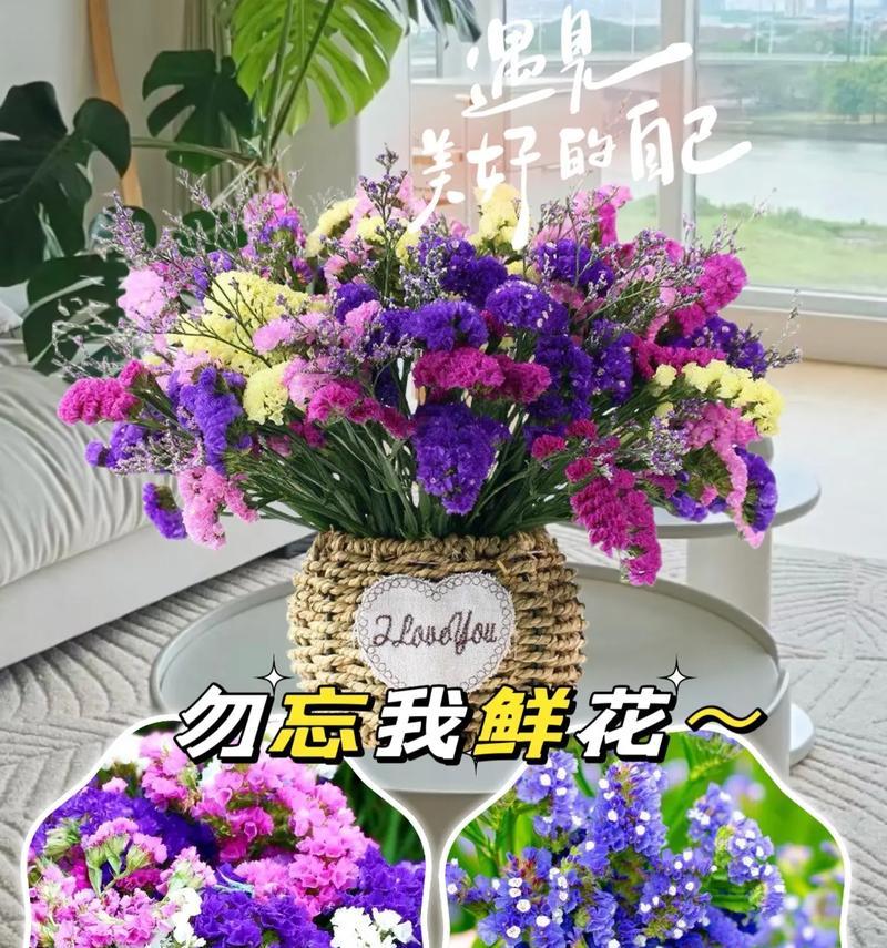 忘我花-寄托爱与美的象征（勿忘我花语及其丰富寓意）