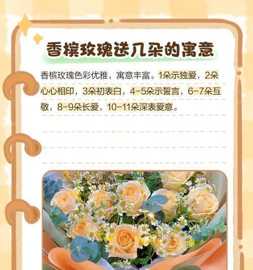 19朵香槟色玫瑰花的花语传递爱情的甜蜜（浪漫诠释，爱的承诺）