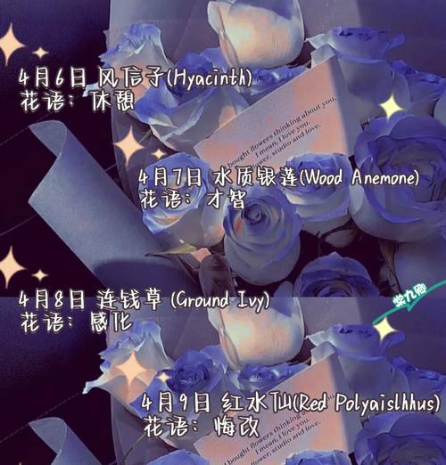 菊花的花语和意义（揭开菊花的秘密，解读菊花的花语）