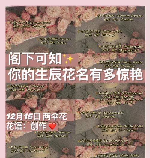 龙舌兰花语的含义与传承（探寻龙舌兰花语的历史源流及深刻内涵）