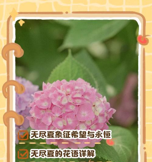 铃兰花语及其代表意义（探寻铃兰花的美丽与深意）