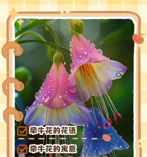 喇叭花的花语——自由奔放（喇叭花的花语与美丽解读）