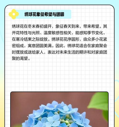 绣球花（绣球花的花语）