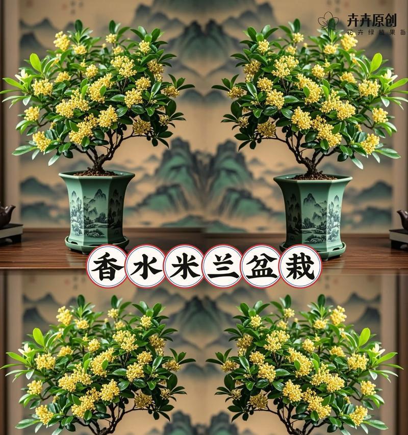 米兰花语之魅力与象征（探索米兰花语的深刻内涵和美妙寓意）