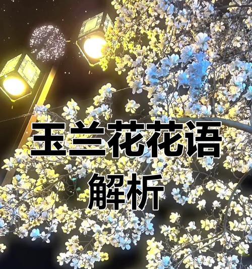 花开友谊，花落情谊（以代表友谊的花语花为主题，探讨友谊与情谊的深意）