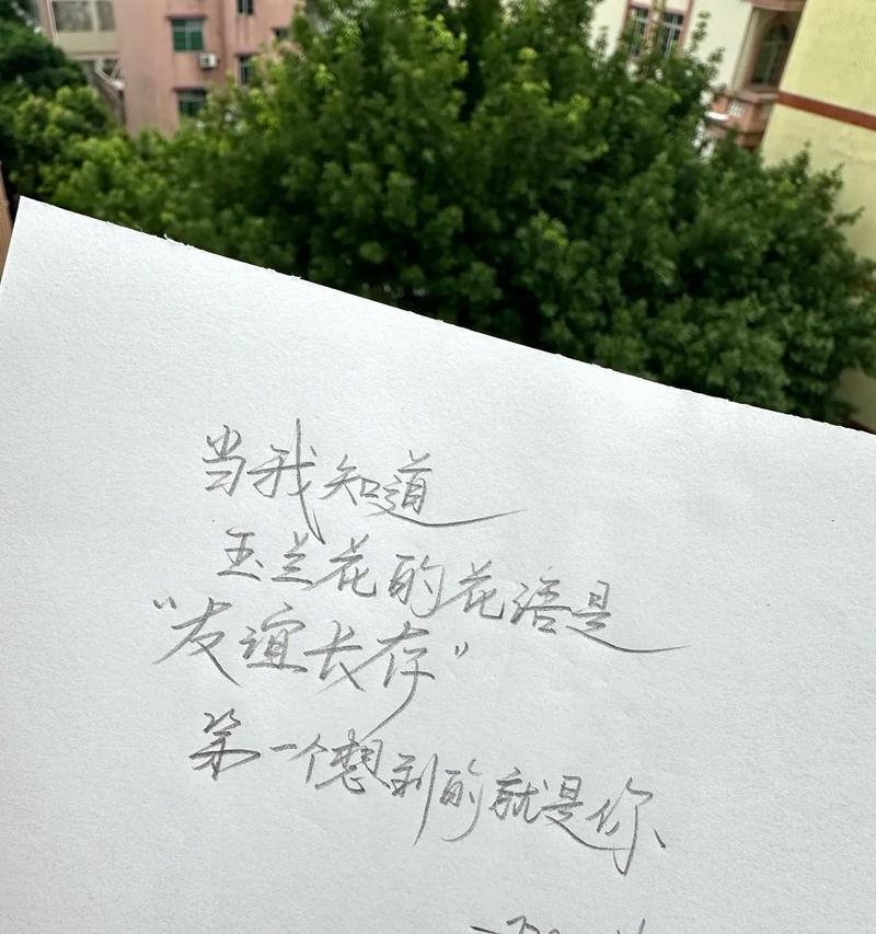 花开友谊，花落情谊（以代表友谊的花语花为主题，探讨友谊与情谊的深意）