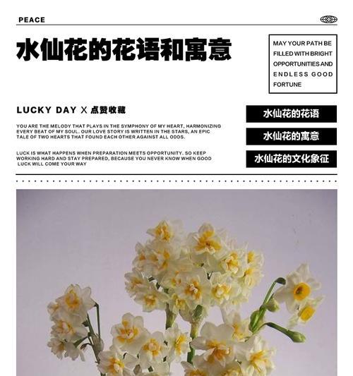 中国水仙花的花语与寓意（探秘中国水仙花的传统象征与文化内涵）