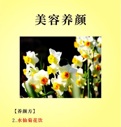 中国水仙花的花语与寓意（探秘中国水仙花的传统象征与文化内涵）