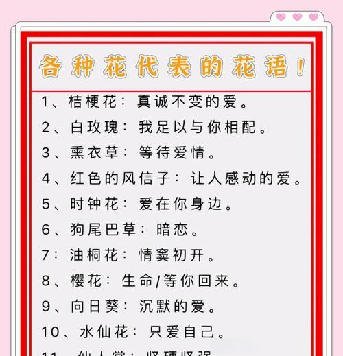雏菊的象征意义（探索雏菊所代表的美好与坚强）