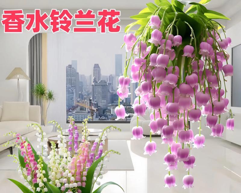 美好的花语——以玫瑰花为主题的花语解读（玫瑰花的花语之美好，想要了解吗？）
