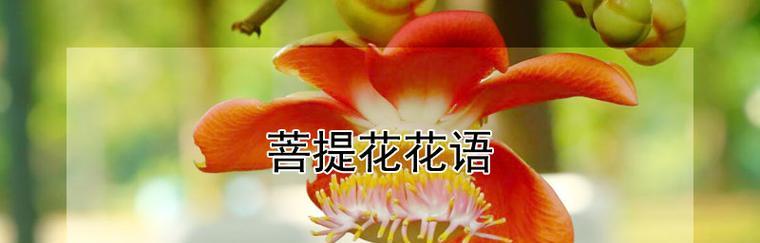 以紫罗兰花的花语为主题的文章（探索紫罗兰花的花语及其象征的控制力量）