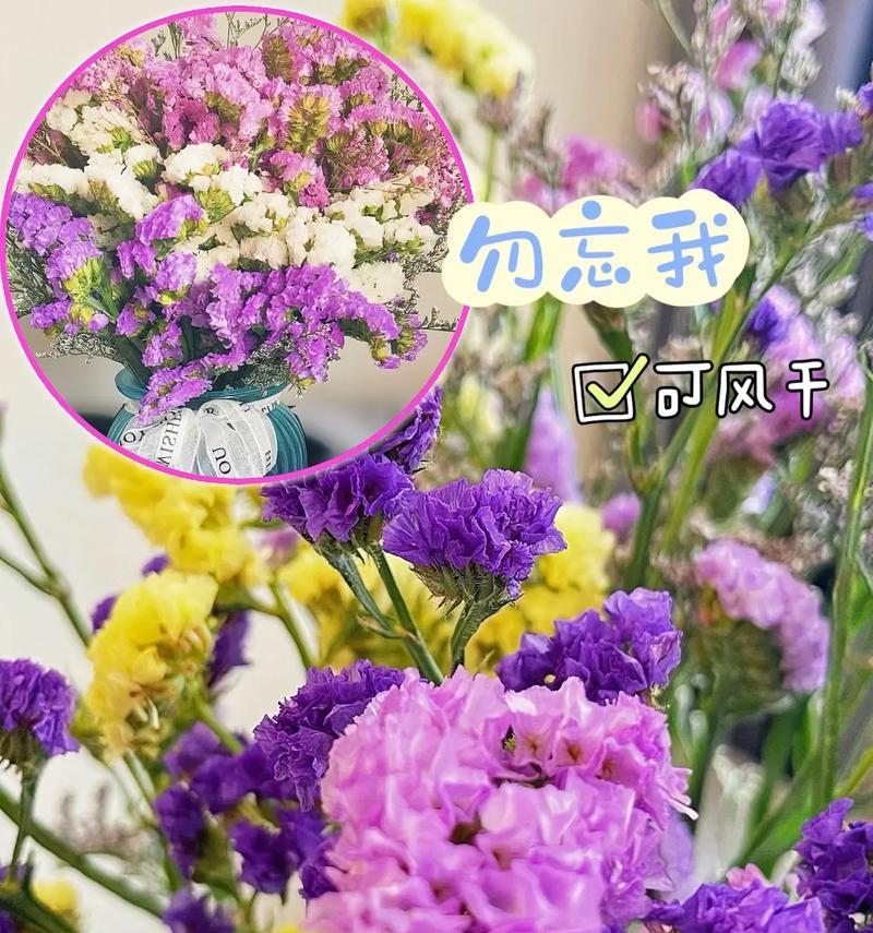 勿忘我花的含义与象征（勿忘我花，寄托永恒记忆与感激之情）