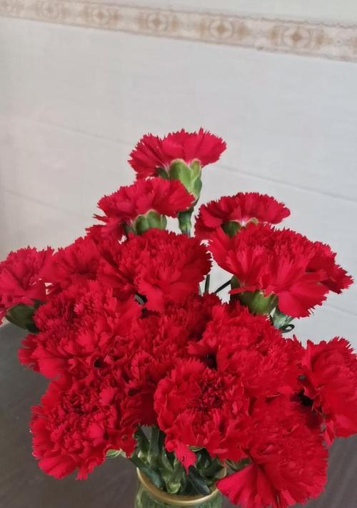 康乃馨花卉的象征意义（康乃馨花卉的神秘魅力与传承）