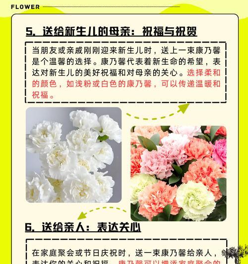 康乃馨花卉的象征意义（康乃馨花卉的神秘魅力与传承）
