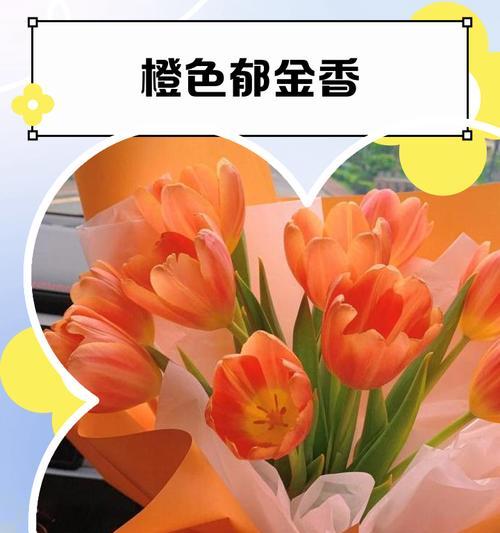 橙色菊花的花语（探索橙色菊花的花语和象征意义，揭示其带来的温暖和希望。）