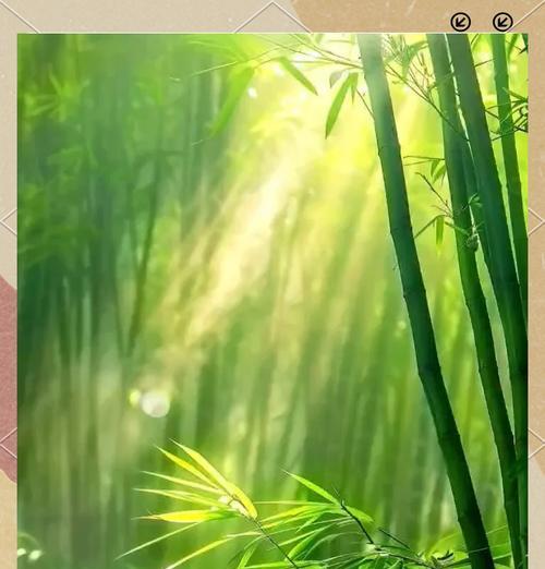 高洁之美——代表高洁的植物（探寻高洁之美的植物世界）