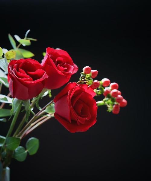 13朵玫瑰的花语（寓意深远的玫瑰花语与传说）