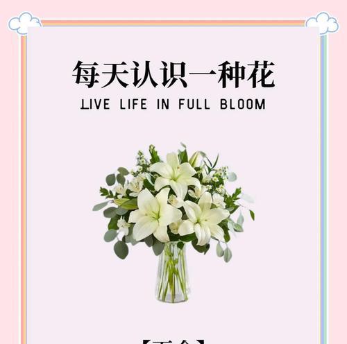 百合之语（揭秘百合花的花语含义与传说）