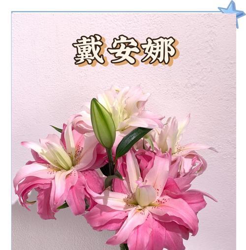 百合之语（揭秘百合花的花语含义与传说）