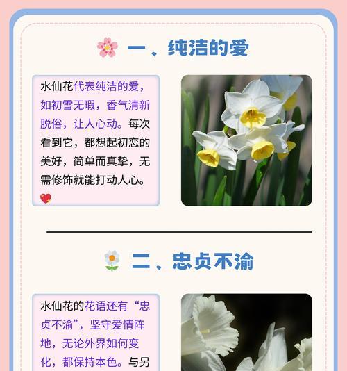 八仙花（探寻八仙花的花语和美丽之谜）