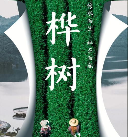 白桦树的象征意义（探寻白桦树的美妙象征及其生命力）