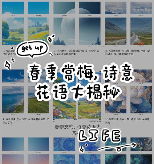 梅花花语的深远意义（用梅花花语传达内心情感的奥秘）