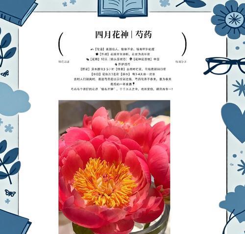 白芍花（花语与神话，白芍花的美丽传承与传说）
