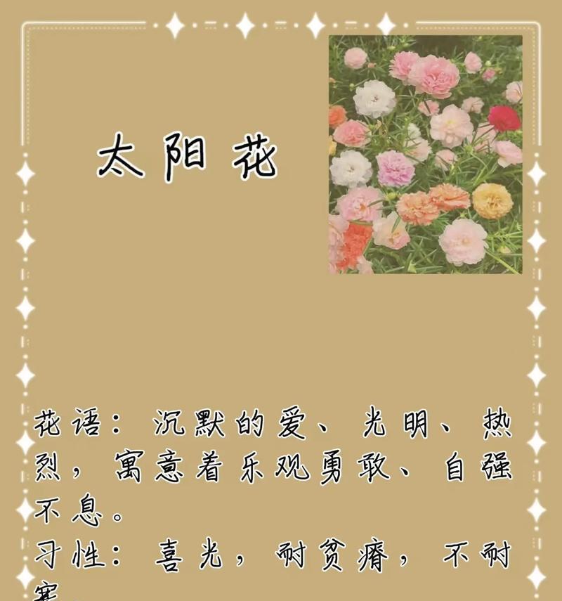 向日葵的花语与象征寓意是什么？（探索向日葵的意义与象征）