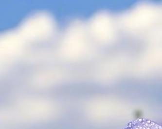 希望之花（以玫瑰为象征的希望之花，散发着生机和希望的光芒）
