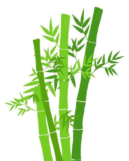 竹子的象征意义与深远影响（探索竹子在文化、艺术和生活中的多重意义）