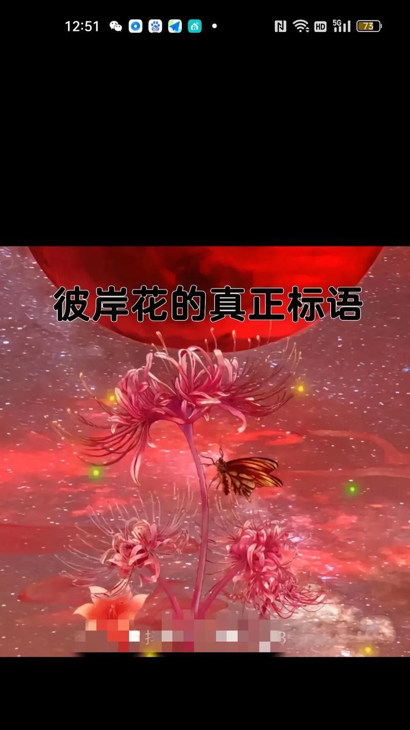 以百合花为善良的象征（美丽善良的百合花，传递人间真情）