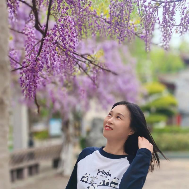 执着与希望的盛开——以郁金香花语为主题的文章（一朵执着的郁金香，传递希望与坚持的力量）