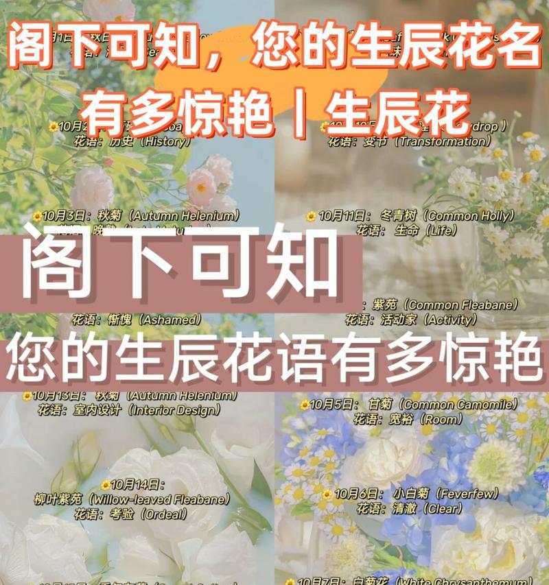 风信子的象征意义及文化传承（香气四溢的春天之花——风信子）