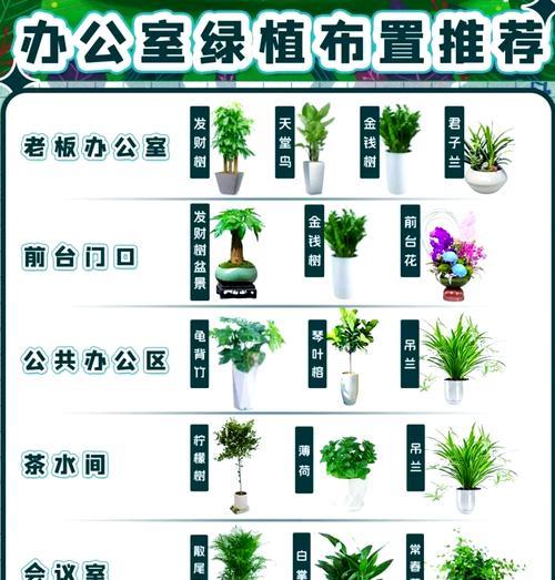 发财树（探秘发财树的寓意与风水禁忌）