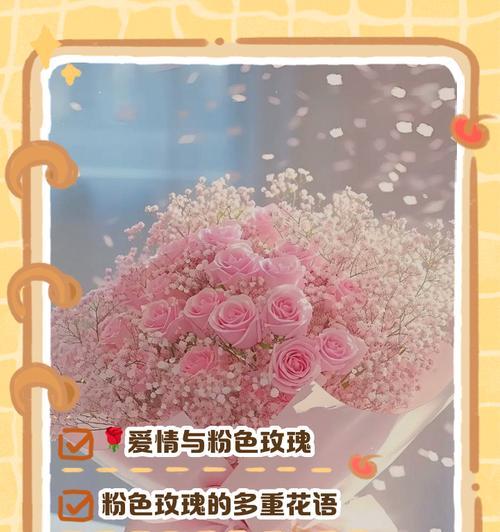 玫瑰花朵数的寓意（探索玫瑰花朵数与象征意义的奥秘）