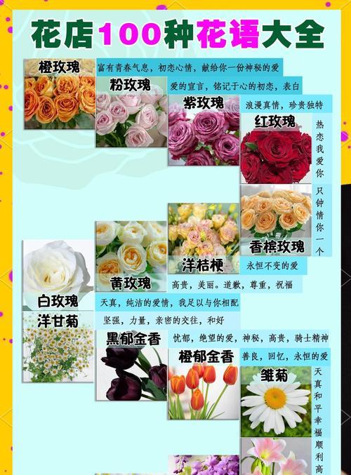 玫瑰花朵数的寓意（探索玫瑰花朵数与象征意义的奥秘）