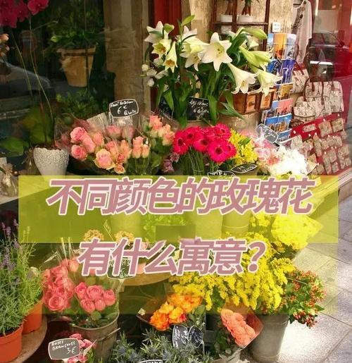 玫瑰花的花语之丰富多彩（探索玫瑰花不同颜色的意义与象征）