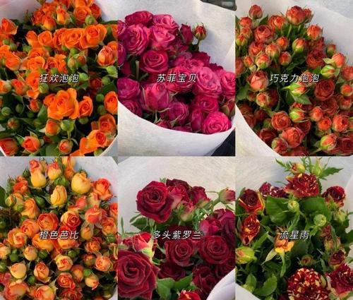 黄牡丹花的寓意和象征意义（美丽花卉中的吉祥符号）