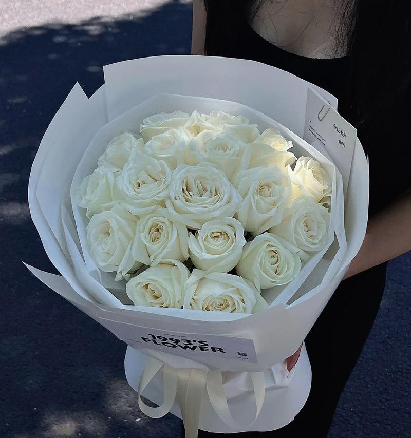 白玫瑰的花语——纯洁与无暇的象征（探寻白玫瑰花语的深刻内涵）