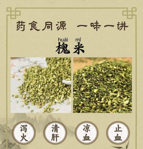槐花花语传递的情感与寓意（槐花的花语是何等的美丽与深沉）