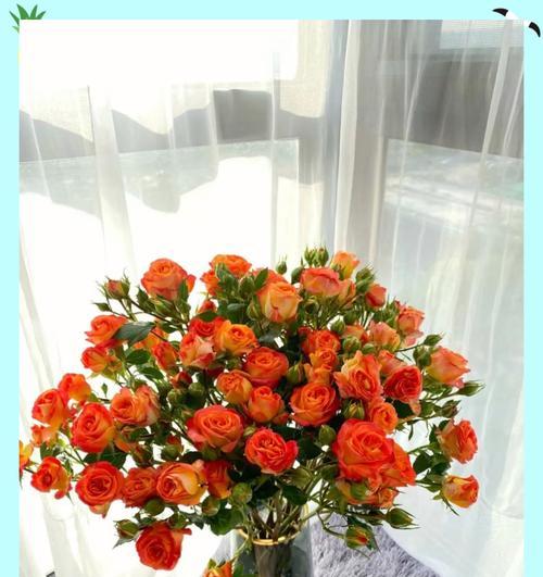 狂欢泡泡玫瑰（花朵之间的奇妙对话）