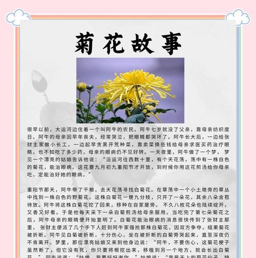 小菊花的花语及意义解析（小菊花的五种花语解读及其象征意义）