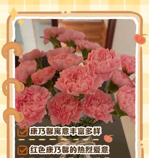康乃馨花语及其象征意义（康乃馨花语传递爱与关怀，预示着美好的祝福与希望）