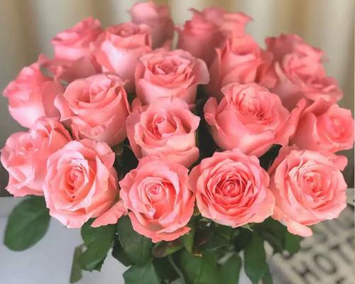 月季玫瑰百合的花语与意义（探寻花朵背后的情感语言，深入解读月季玫瑰百合的花语）