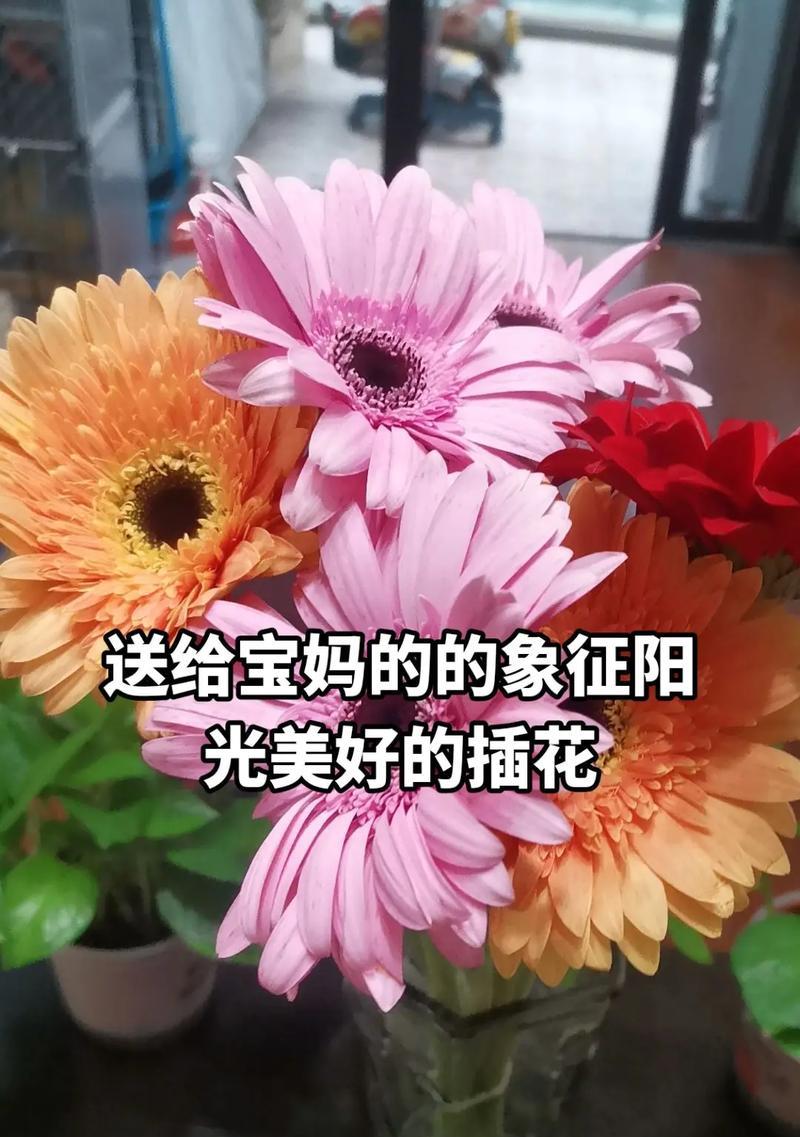 以向日葵的花语为主题的文章（阳光如你般灿烂，让天天开心成为习惯）