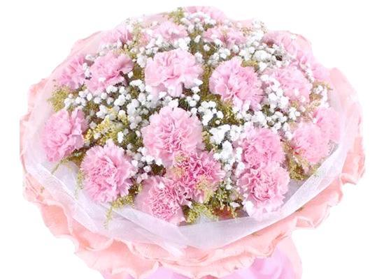 粉色康乃馨的花语之美（深情厚意，温馨祝福）